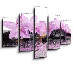 Obraz   flowers and black stones with reflection, 150 x 100 cm