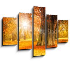 Obraz 5D ptidln - 150 x 100 cm F_GB71135258 - golden october