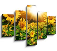 Obraz ptidln 5D - 150 x 100 cm F_GB7160083 - Sunflowers