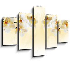 Obraz 5D ptidln - 150 x 100 cm F_GB72852358 - Beautiful white orchid