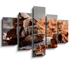 Obraz 5D ptidln - 150 x 100 cm F_GB73116859 - Dark chocolate - Hok okolda