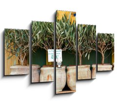 Obraz 5D ptidln - 150 x 100 cm F_GB73385366 - Olive trees bonsai