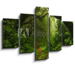 Obraz 5D ptidln - 150 x 100 cm F_GB74532471 - Selva Nepal