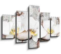 Obraz 5D ptidln - 150 x 100 cm F_GB78194063 - beautiful orchid with stones