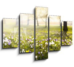 Obraz 5D ptidln - 150 x 100 cm F_GB78313786 - abstract sunny beautiful Spring background