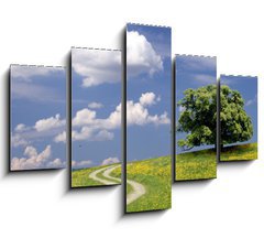 Obraz ptidln 5D - 150 x 100 cm F_GB7861110 - Weg zur Ruhe