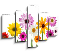 Obraz ptidln 5D - 150 x 100 cm F_GB7866722 - Summer daisies