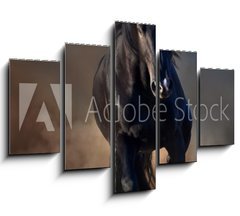 Obraz 5D ptidln - 150 x 100 cm F_GB78859419 - Beautiful black stallion run in desert dust against sunset sky