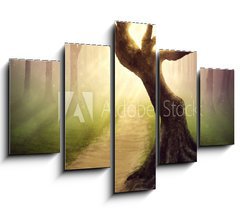 Obraz 5D ptidln - 150 x 100 cm F_GB79255911 - Forest pathway - Lesn cesta