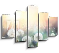 Obraz 5D ptidln - 150 x 100 cm F_GB79562753 - field of dandelion in sunset - bokeh and allergy