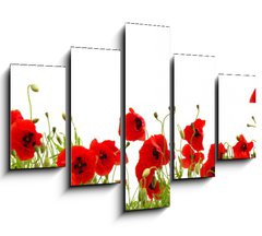 Obraz 5D ptidln - 150 x 100 cm F_GB81019876 - red poppy