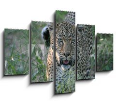 Obraz ptidln 5D - 150 x 100 cm F_GB8415986 - leopard