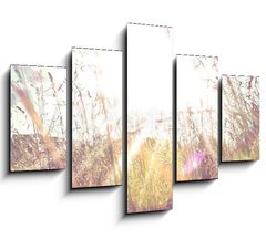 Obraz 5D ptidln - 150 x 100 cm F_GB84657670 - Sun rays on a meadow