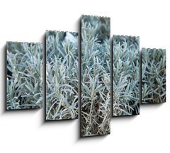 Obraz 5D ptidln - 150 x 100 cm F_GB84844244 - Lavender in a flower shop.