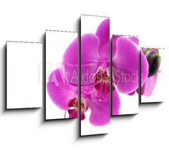 Obraz ptidln 5D - 150 x 100 cm F_GB8546686 - Orchidea fiorita