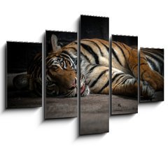 Obraz 5D ptidln - 150 x 100 cm F_GB86701191 - bengal tiger sleeping