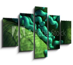 Obraz 5D ptidln - 150 x 100 cm F_GB87073278 - medical bacteria illustration of the campylobacter