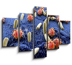Obraz   Bacteria and viruses on surface of skin, mucous membrane or intestine, model of MERS, HIV, flu, Escherichia coli, Salmonella, Klebsiella, Legionella, Mycobacterium tuberculosis, model of microbes, 150 x 100 cm