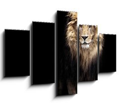 Obraz   Portrait of a Beautiful lion, lion in the dark, 150 x 100 cm