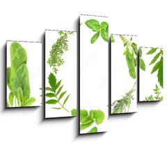 Obraz 5D ptidln - 150 x 100 cm F_GB9167074 - Herb Garlands