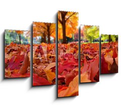 Obraz 5D ptidln - 150 x 100 cm F_GB95226612 - autumn leaves