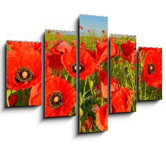 Obraz 5D ptidln - 150 x 100 cm F_GB95383540 - Poppies