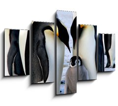 Obraz ptidln 5D - 150 x 100 cm F_GB9651364 - Emperor penguins with chick