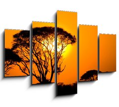 Obraz 5D ptidln - 150 x 100 cm F_GB9856280 - african sunset in savannah, kenya - africk zpad slunce v savan, kenya