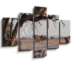 Obraz   Elefantenherde verl sst das Wasserloch Etosha Namibia, 150 x 100 cm