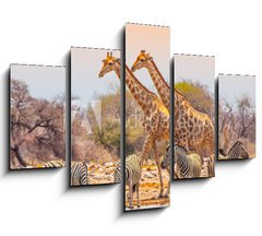 Obraz 5D ptidln - 150 x 100 cm F_GB99320619 - Giraffes and zebras at waterhole