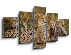 Obraz 5D ptidln - 125 x 70 cm F_GS100367879 - Mother cheetah and her cubs in the savannah. Kenya. Tanzania. Africa. National Park. Serengeti. Maasai Mara. An excellent illustration.