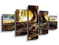 Obraz 5D ptidln - 125 x 70 cm F_GS10128552 - Centenarian tree with large trunk and big roots above the ground