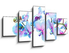 Obraz   stem of blue orchids, 125 x 70 cm