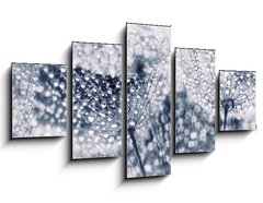 Obraz   Plant seeds with water drops, 125 x 70 cm