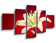 Obraz 5D ptidln - 125 x 70 cm F_GS10726288 - lily flower