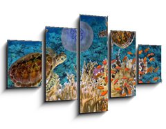 Obraz 5D ptidln - 125 x 70 cm F_GS107412265 - Colorful coral reef with many fishes and sea turtle - Barevn korlov tes s mnoha rybami a mosk elva