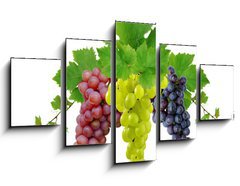 Obraz ptidln 5D - 125 x 70 cm F_GS10964464 - Three fresh grapes - Ti erstv hrozny