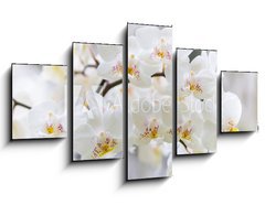 Obraz   Vibrant holiday background with beautiful close up white orchid flower branch , 125 x 70 cm