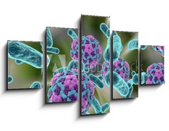Obraz 5D ptidln - 125 x 70 cm F_GS110321094 - Bacteria and hepatitis A virus