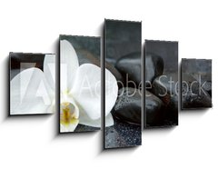 Obraz 5D ptidln - 125 x 70 cm F_GS113515481 - White orchid and black stones close up.