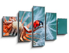 Obraz 5D ptidln - 125 x 70 cm F_GS121417091 - freedom