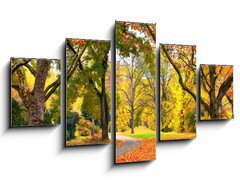 Obraz   Park im Herbst in freundlich warmen Farben, 125 x 70 cm
