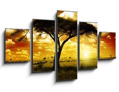 Obraz 5D ptidln - 125 x 70 cm F_GS12197040 - Africa Sunset
