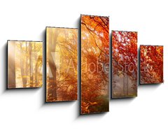 Obraz 5D ptidln - 125 x 70 cm F_GS122248477 - Herbst im Wald, mit Lichtstrahlen im Nebel und rotem Laub