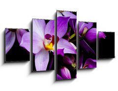 Obraz ptidln 5D - 125 x 70 cm F_GS1241133 - orchids - orchideje