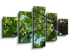 Obraz pětidílný 5D - 125 x 70 cm F_GS1273734 - tree foliage