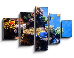 Obraz 5D ptidln - 125 x 70 cm F_GS131183702 - Tropical fishes on the coral reef