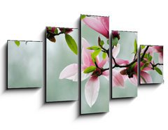 Obraz   Magnolia, 125 x 70 cm
