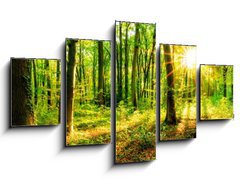 Obraz 5D ptidln - 125 x 70 cm F_GS137096673 - Wald im Frhling mit Sonne - Les na jae se sluncem