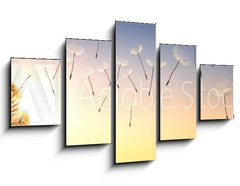 Obraz 5D ptidln - 125 x 70 cm F_GS137387337 - Pusteblume im Sonnenuntergang 1